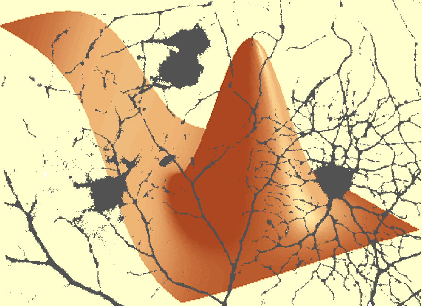 Neurones biologiques et mathématiques